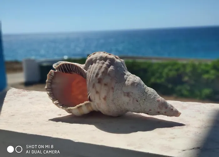 Apartment Blue Sea Studios *